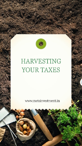 The Tax Harvesting Garden