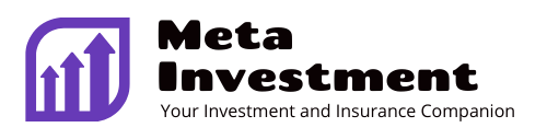 Meta Investment